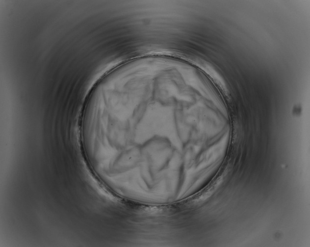 X0000102010806200808081723