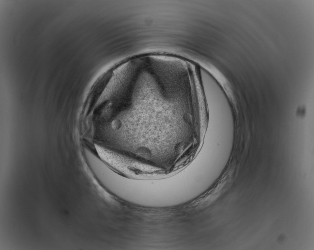 X0000102010807200808081723