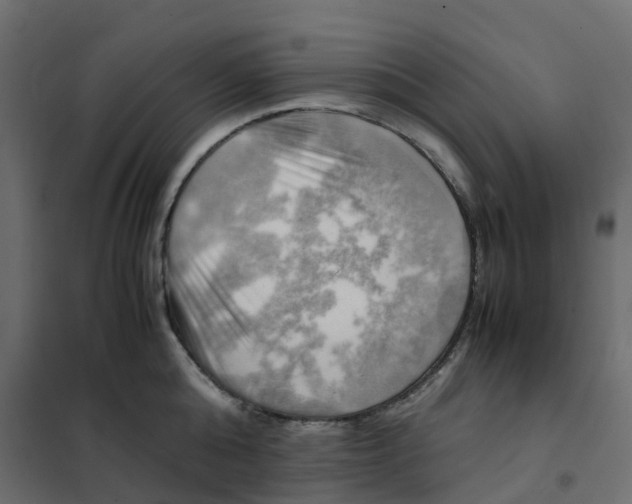 X0000102010808200808081723