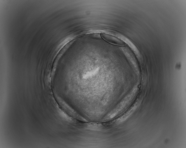 X0000102010809200808081723