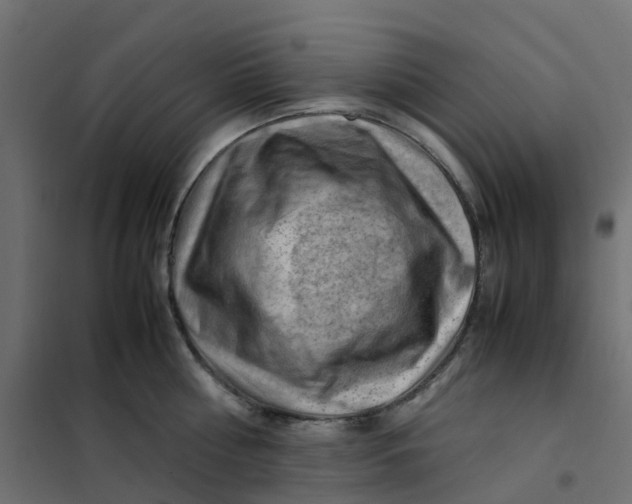 X0000102010810200808081723