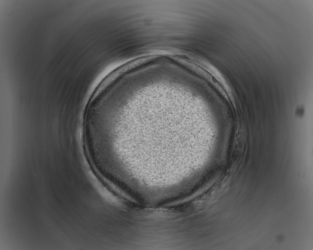 X0000102010811200808081723