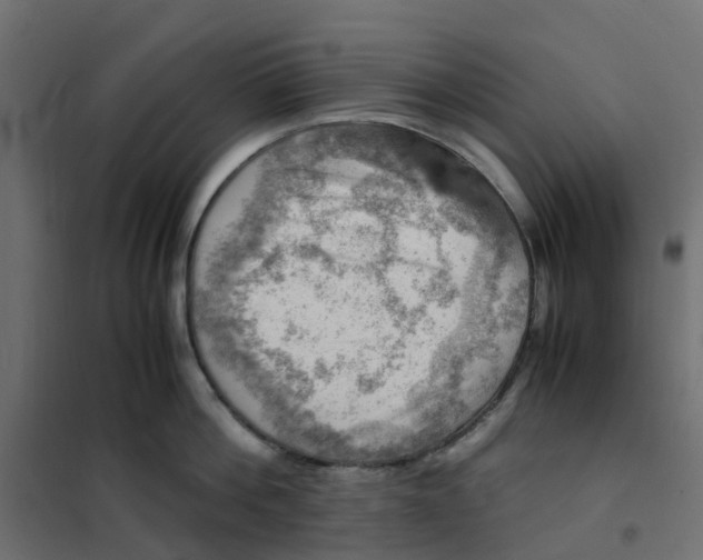 X0000102010812200808081723