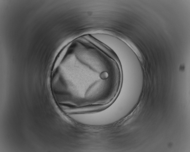 X0000102010813200808081723