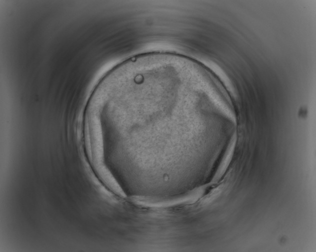 X0000102010815200808081723