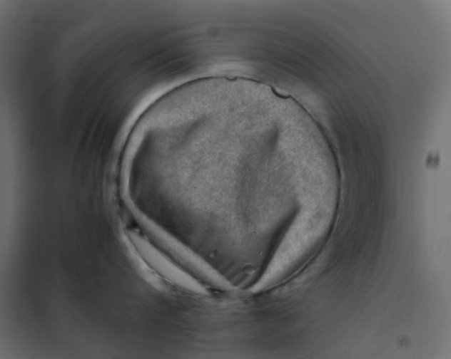 X0000102010816200808081723