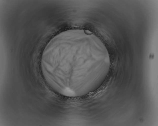 X0000102010817200808081722