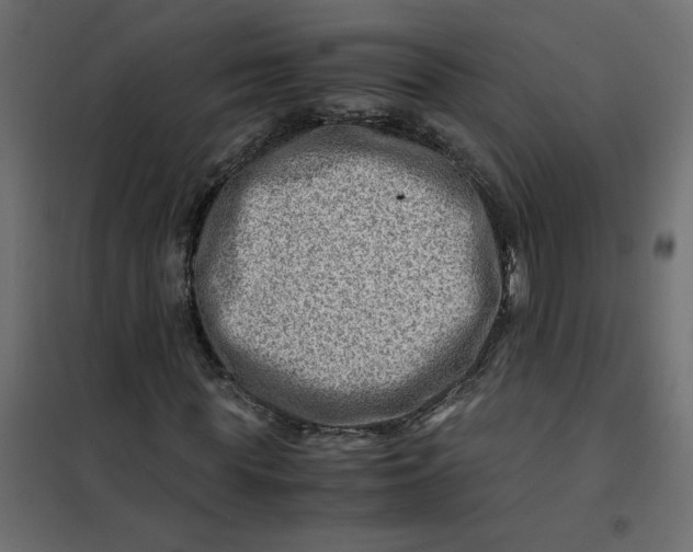 X0000102010819200808081722