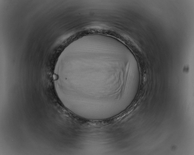 X0000102010822200808081722