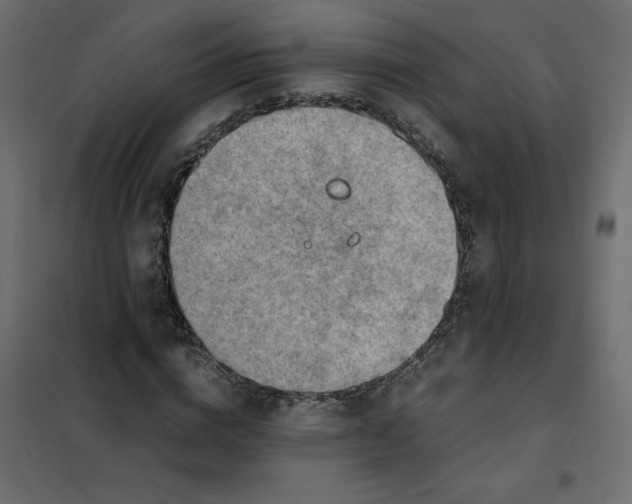 X0000102010824200808081722