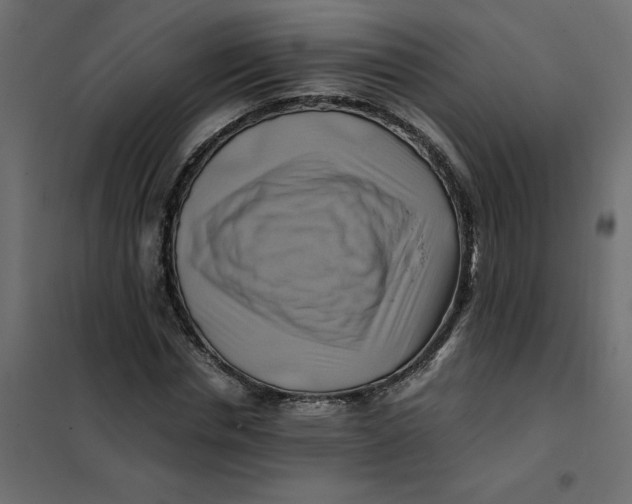 X0000102010826200808081722