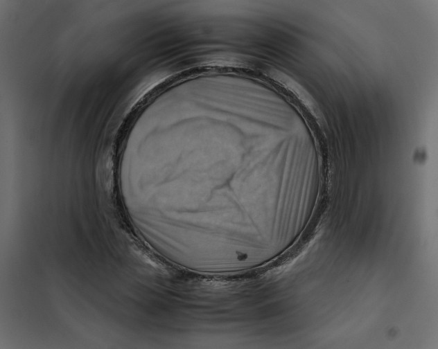 X0000102010829200808081722