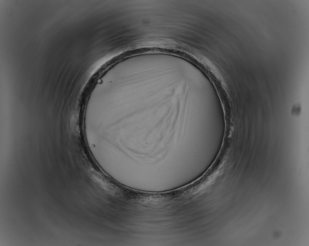 X0000102010830200808081722