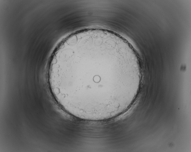 X0000102010832200808081722