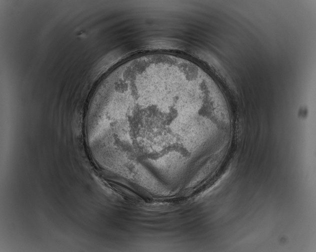 X0000102010833200808081722