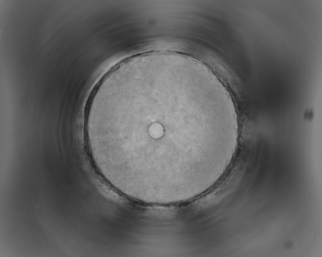 X0000102010836200808081722