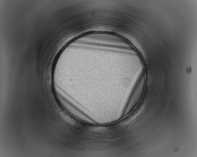 X0000102010837200808081722