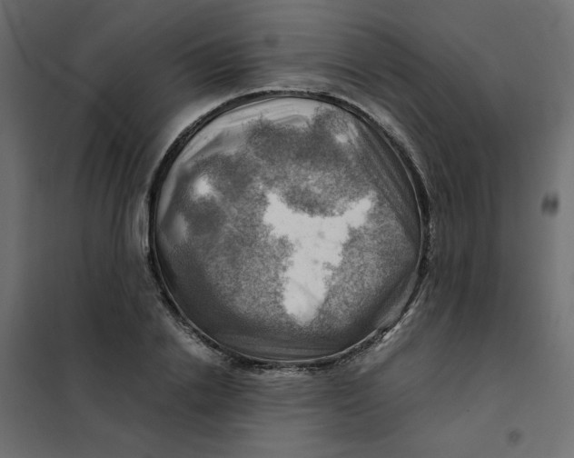 X0000102010838200808081722