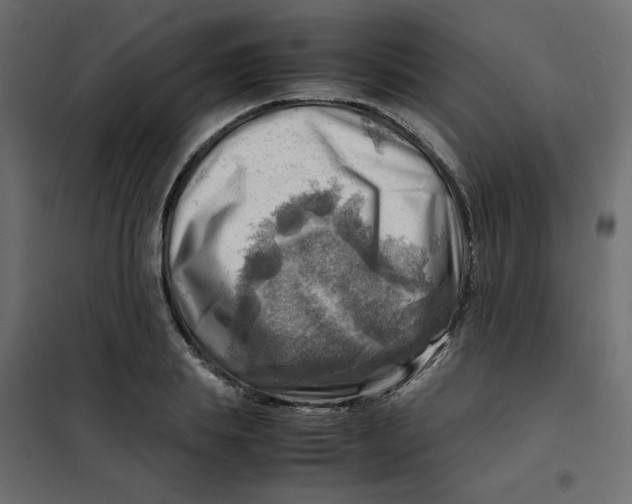 X0000102010839200808081722