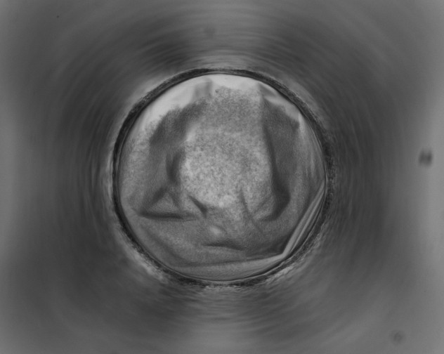 X0000102010840200808081722