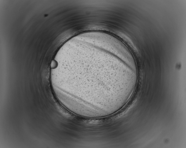 X0000102010841200808081722