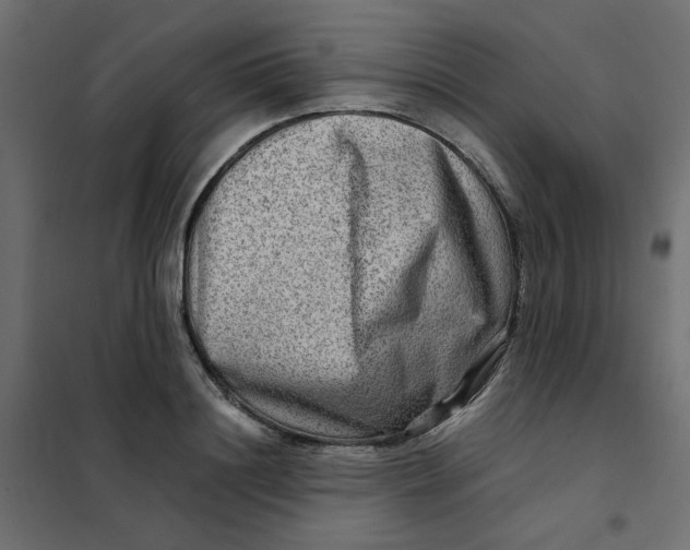 X0000102010844200808081722