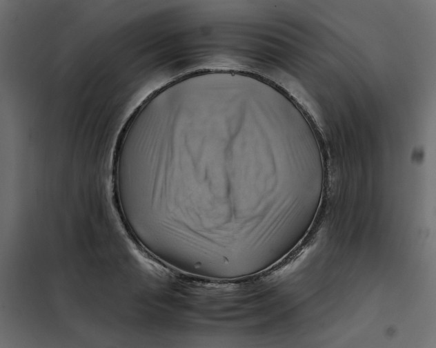 X0000102010845200808081722