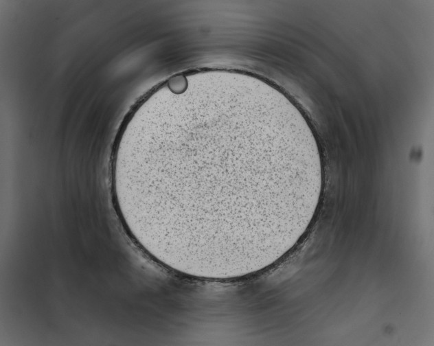 X0000102010848200808081722