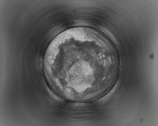 X0000102010849200808081722