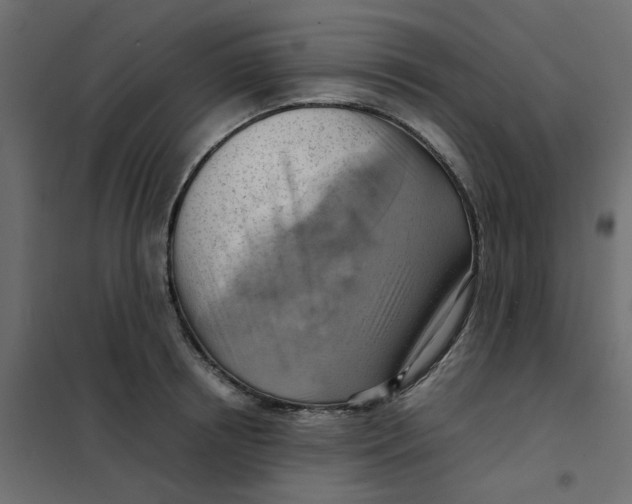 X0000102010850200808081722