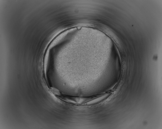 X0000102010852200808081722