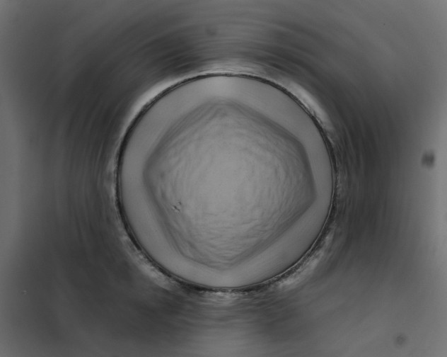 X0000102010854200808081723