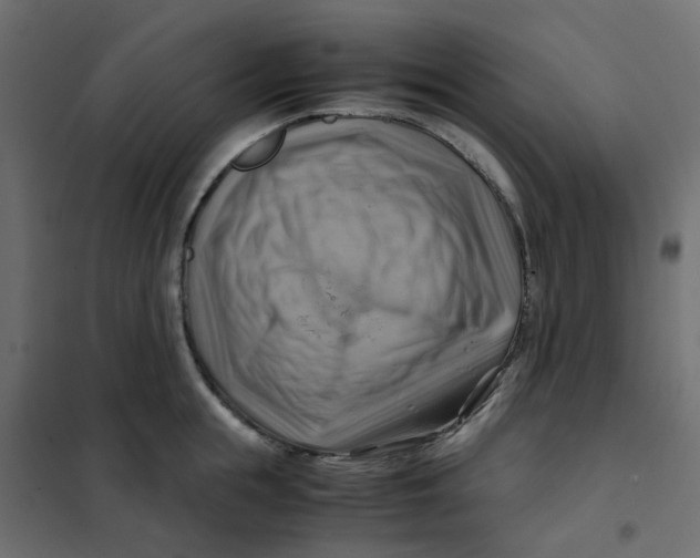 X0000102010855200808081723