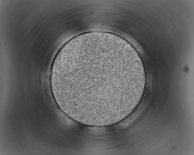 X0000102010856200808081723