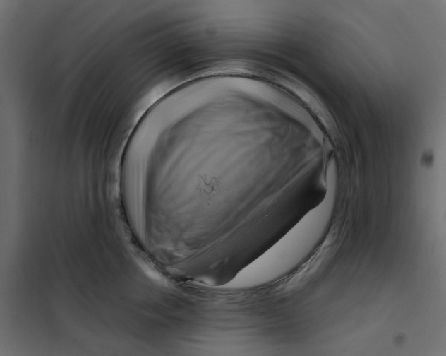 X0000102010858200808081723