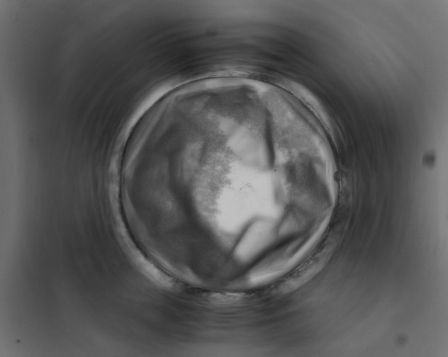 X0000102010859200808081723