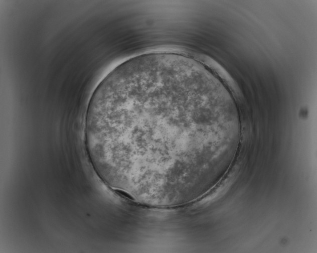 X0000102010860200808081723