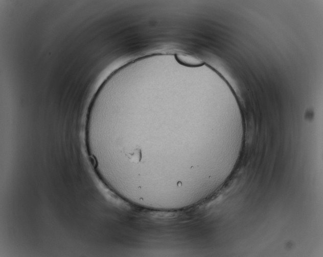 X0000102010861200808081723