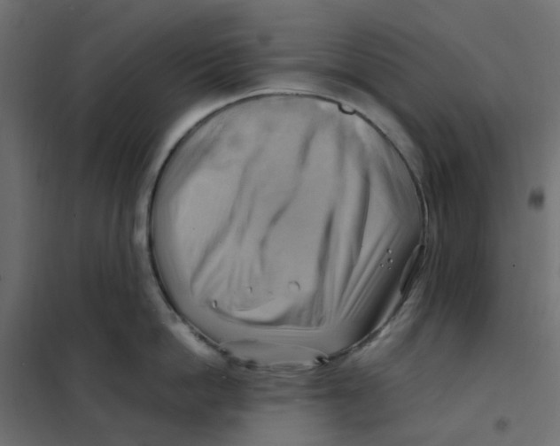 X0000102010862200808081723