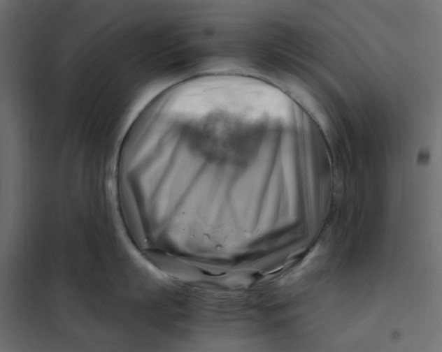 X0000102010863200808081723