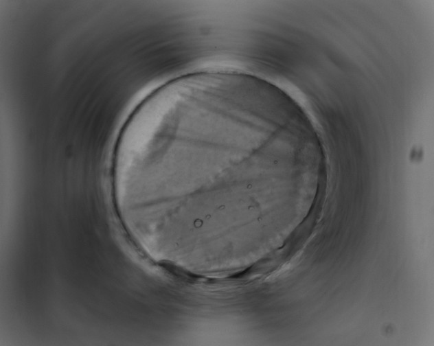 X0000102010864200808081723