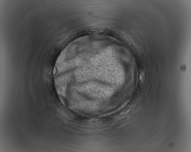 X0000102010867200808081722