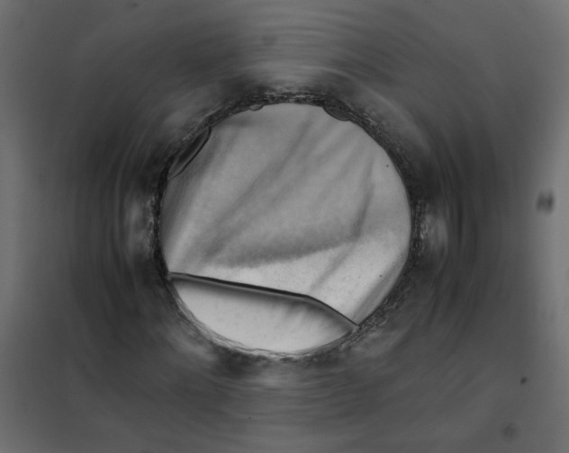 X0000102010868200808081722