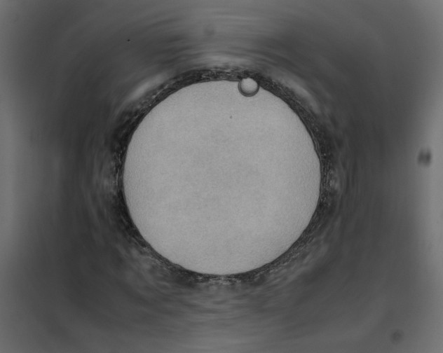 X0000102010869200808081722