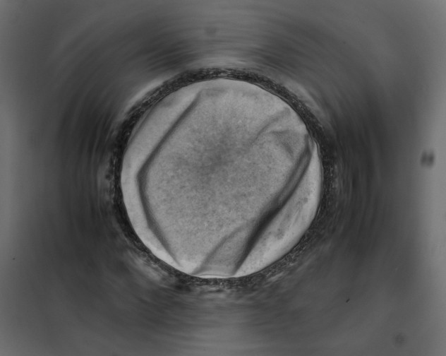 X0000102010872200808081722