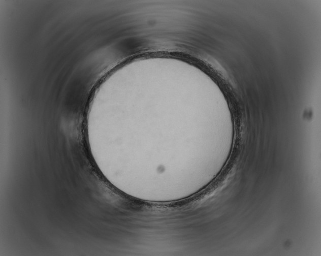 X0000102010873200808081722