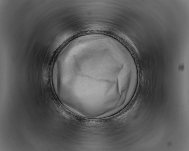 X0000102010874200808081722