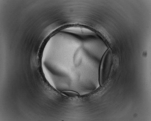 X0000102010876200808081722