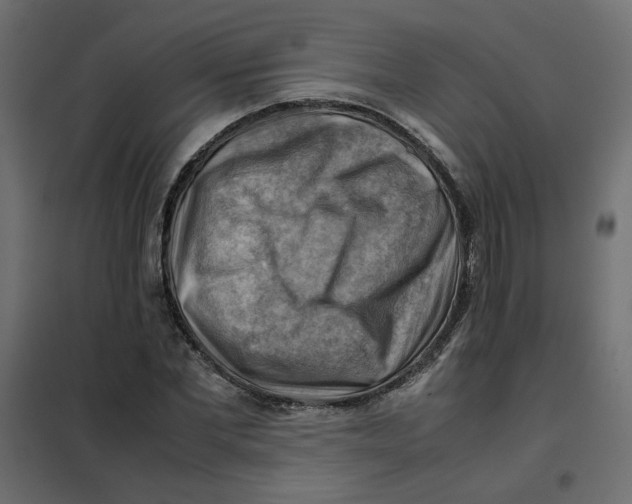 X0000102010877200808081722