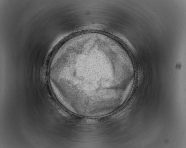 X0000102010878200808081722